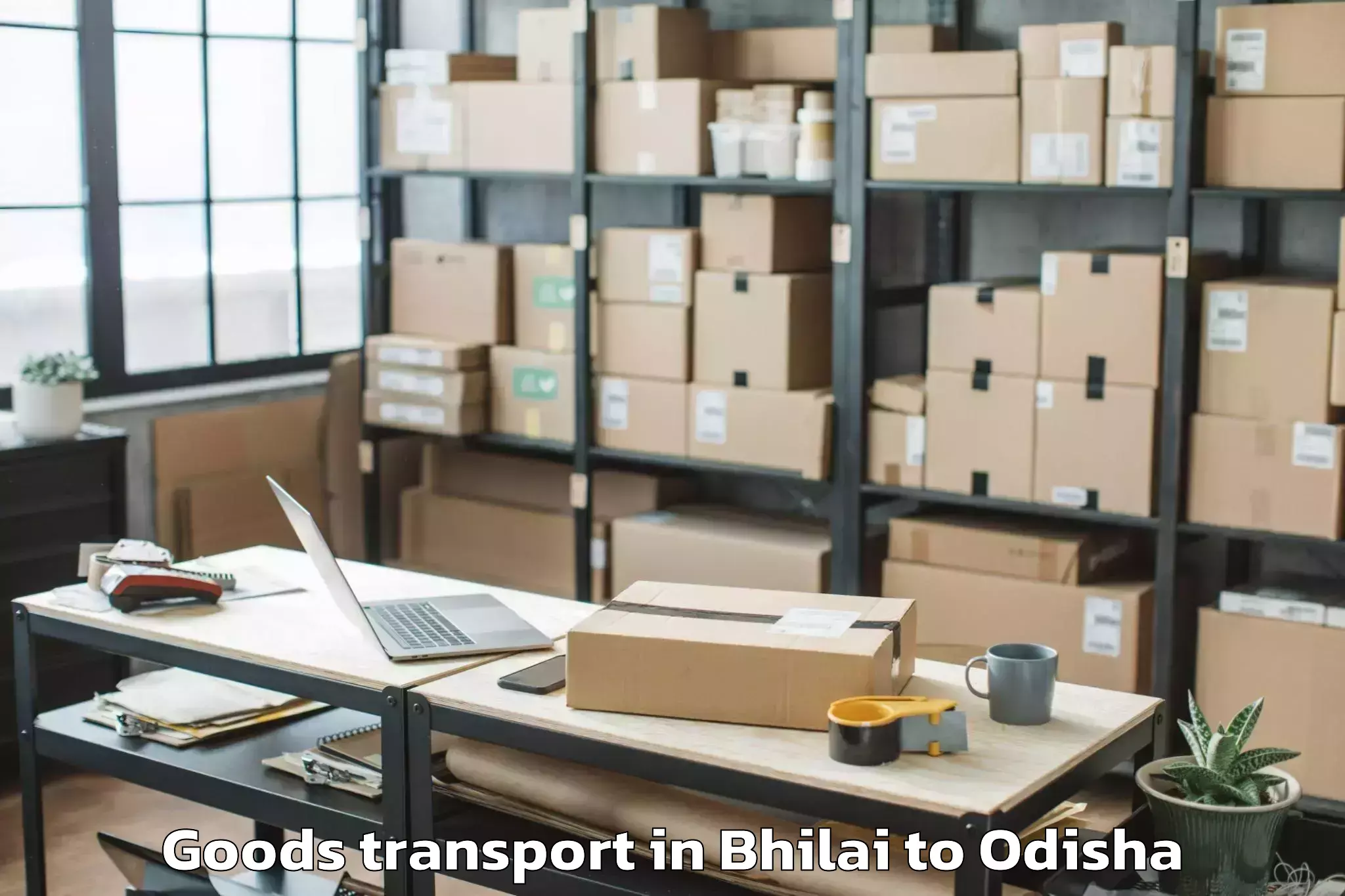 Top Bhilai to Bhanjanagar Goods Transport Available